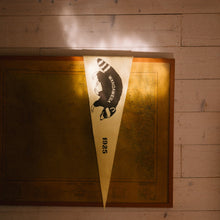 Load image into Gallery viewer, Wandawega Pennants