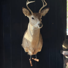 Load image into Gallery viewer, Duck Call