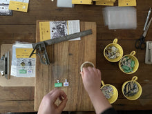 Load image into Gallery viewer, Litho Pin Set