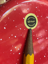 Load image into Gallery viewer, Campfire enamel mug