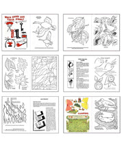 Load image into Gallery viewer, The Camp Art Kit