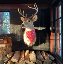 Load image into Gallery viewer, Wandawega Handkerchief