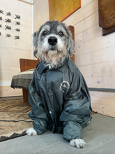 Load image into Gallery viewer, Camp Staff Jacket
