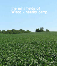Load image into Gallery viewer, Wisconsin Mint Lip Balm