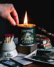 Load image into Gallery viewer, Match Strikes