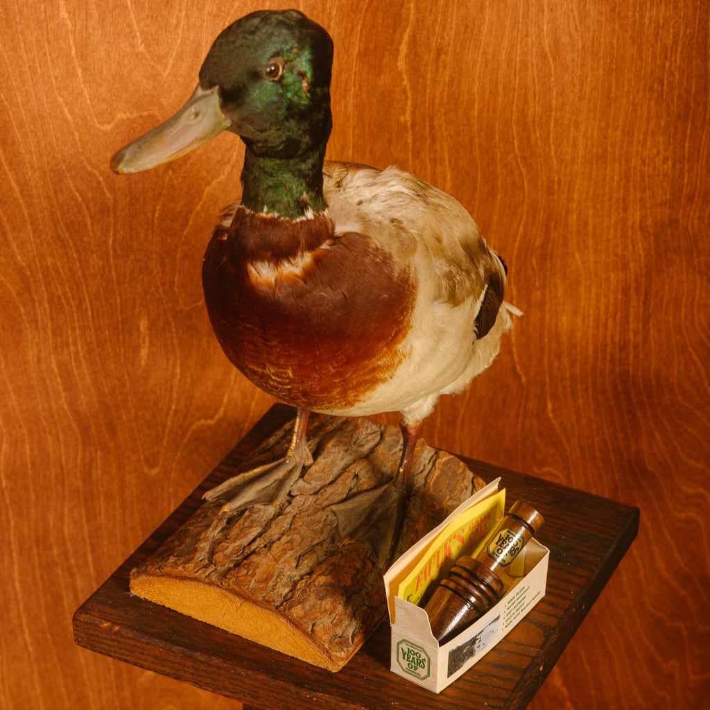 Duck Call