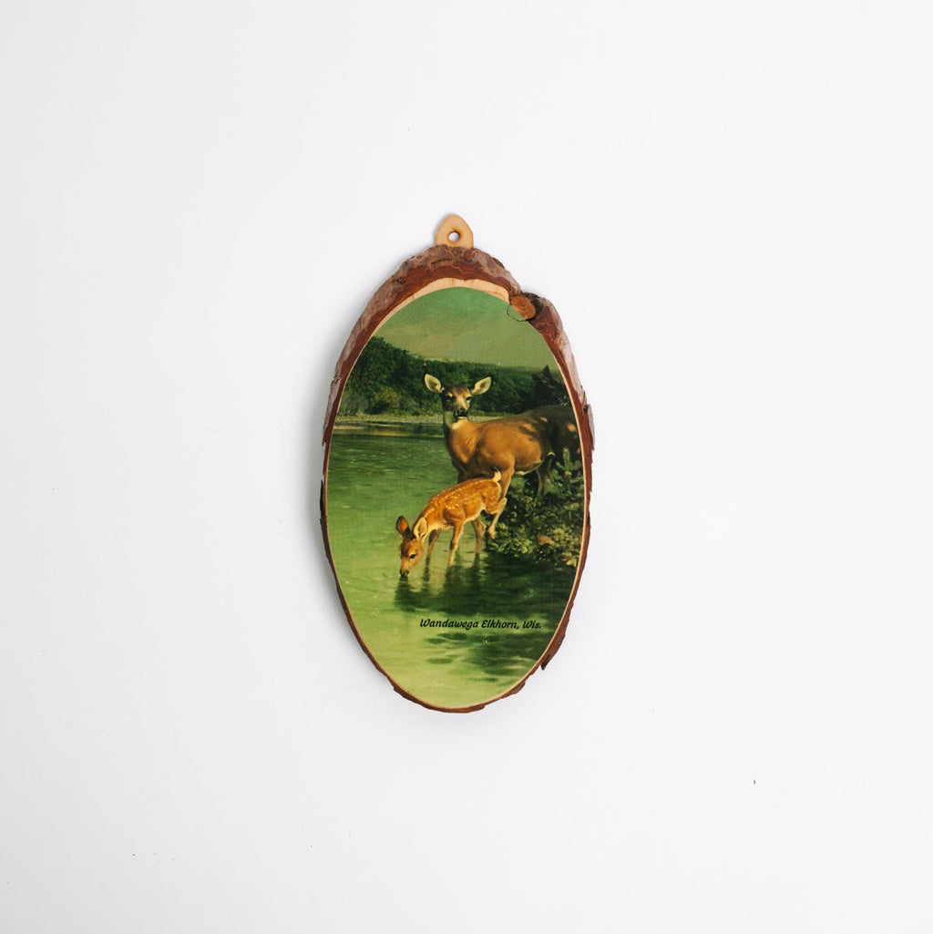 Cedar Slice Wall Plaque