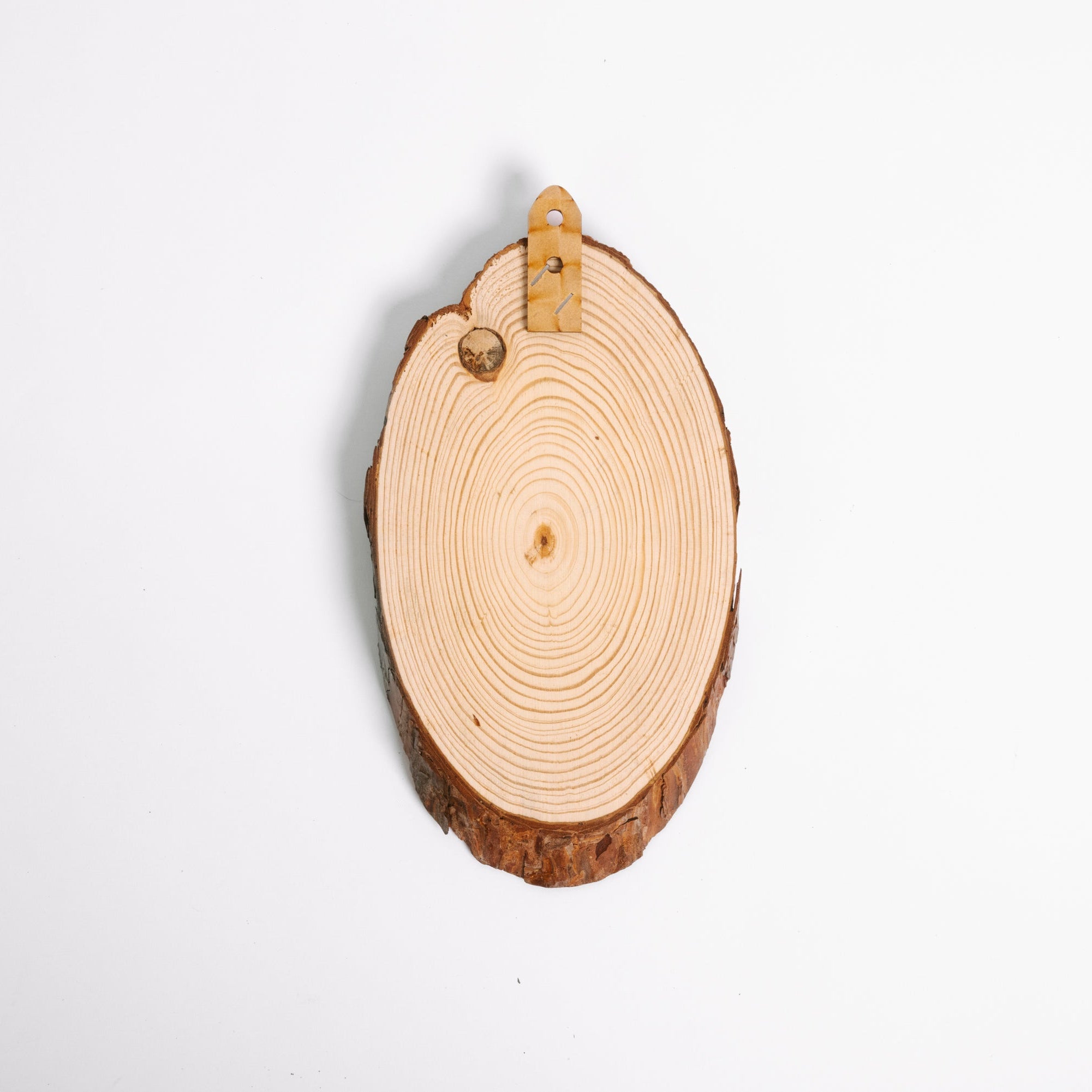 Cedar Slice Wall Plaque