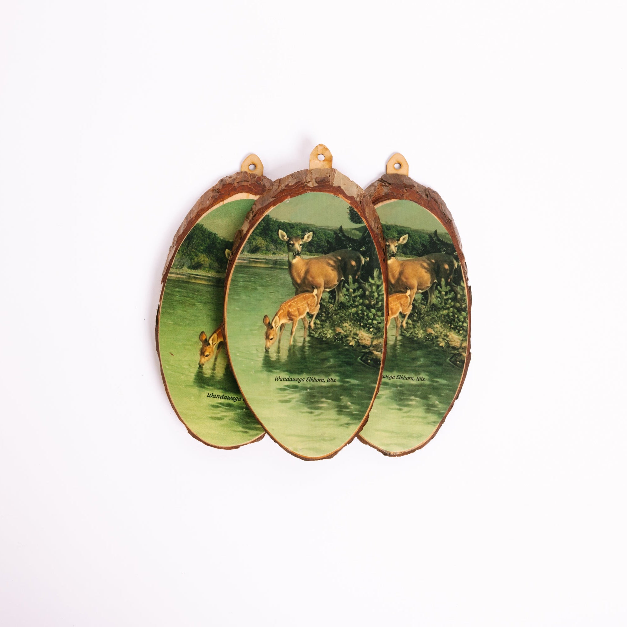 Cedar Slice Wall Plaque