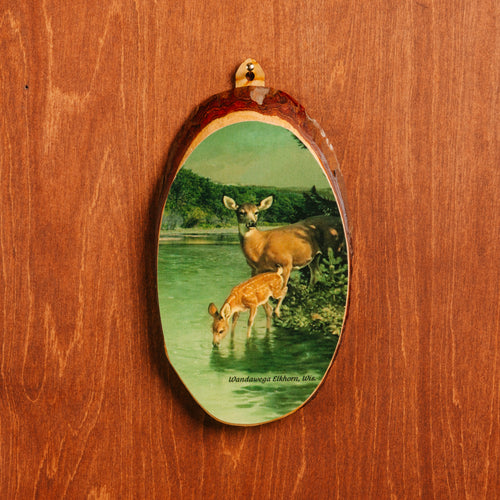 Cedar Slice Wall Plaque