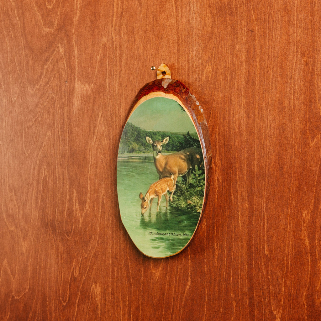 Cedar Slice Wall Plaque