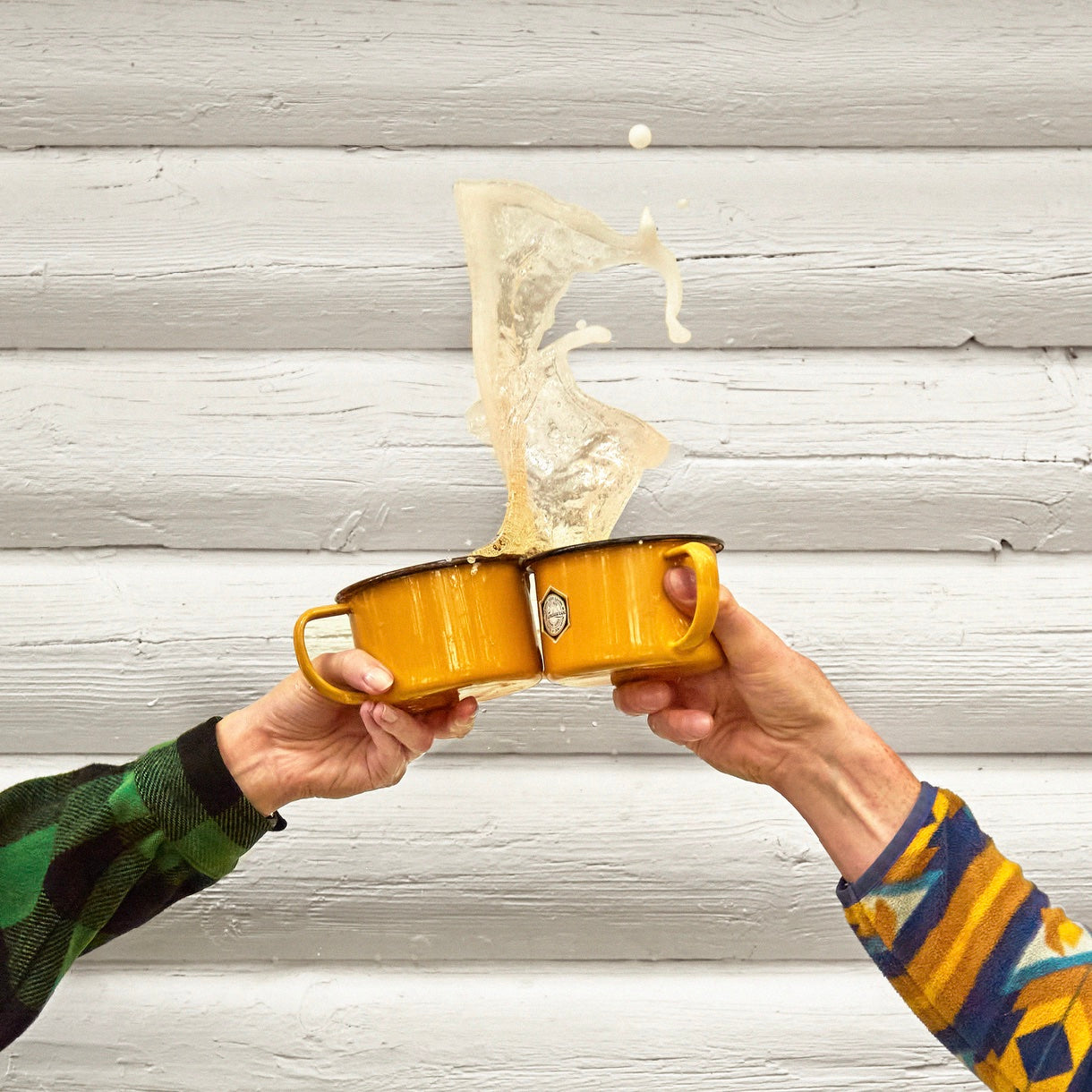 Crow Canyon Home x Camp Wandawega Enamelware Mug