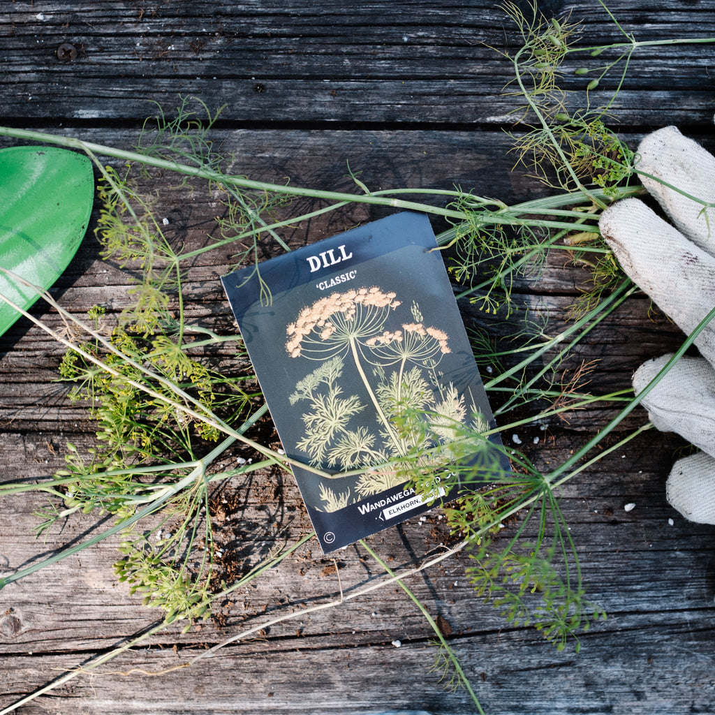 Wandawega Seed Co. Garden Kit