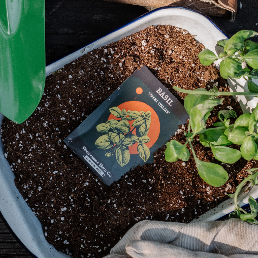 Wandawega Seed Co. Garden Kit