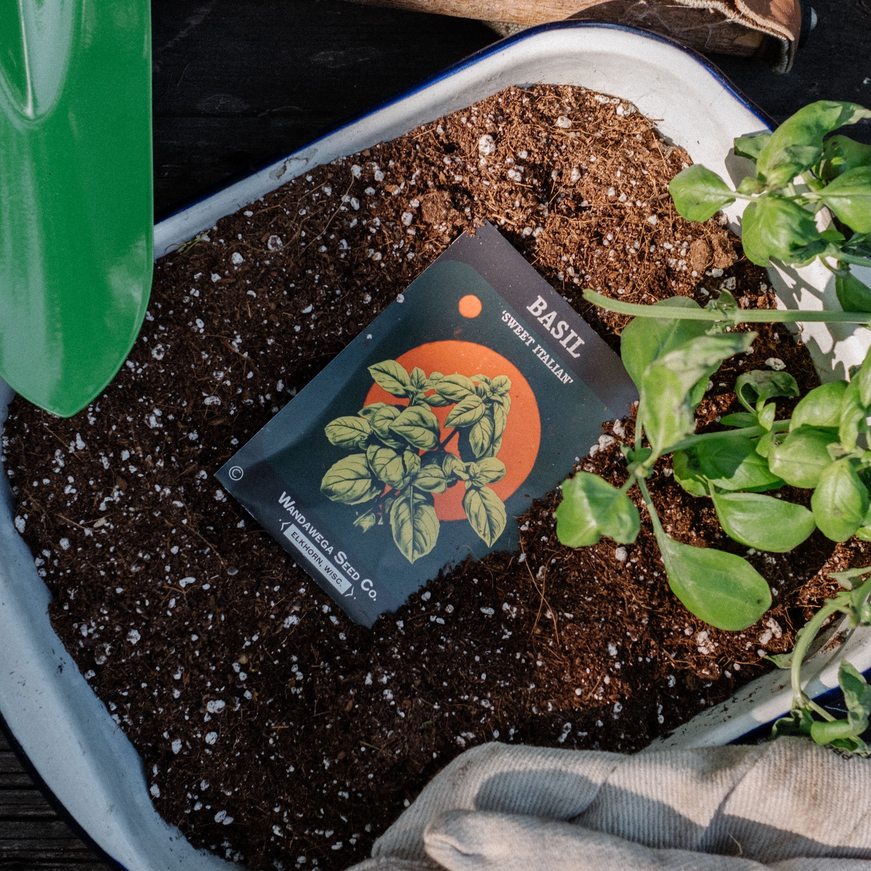 Wandawega Seed Co. Garden Kit