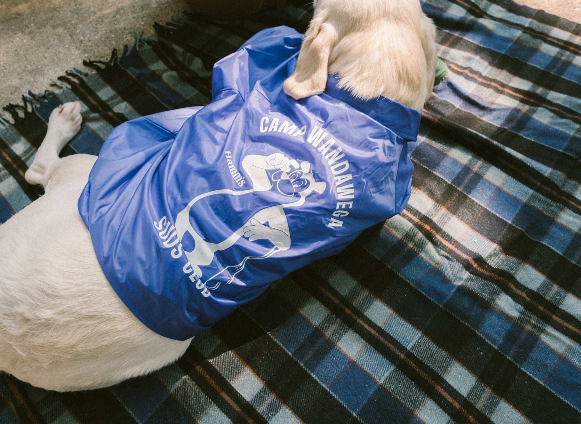 Wandawega x Hamm's: Suds Club Jacket
