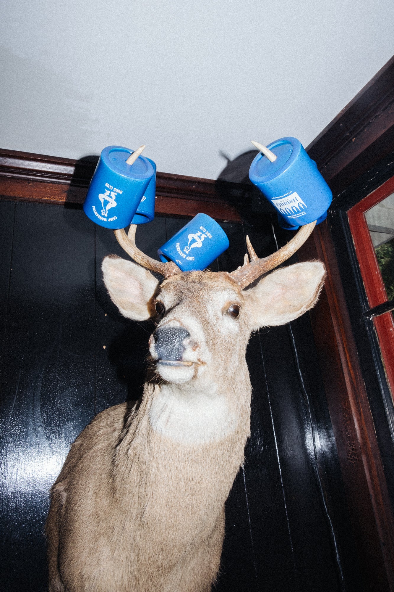 Wandawega x Hamm's: Vinyl Dipped Koozie