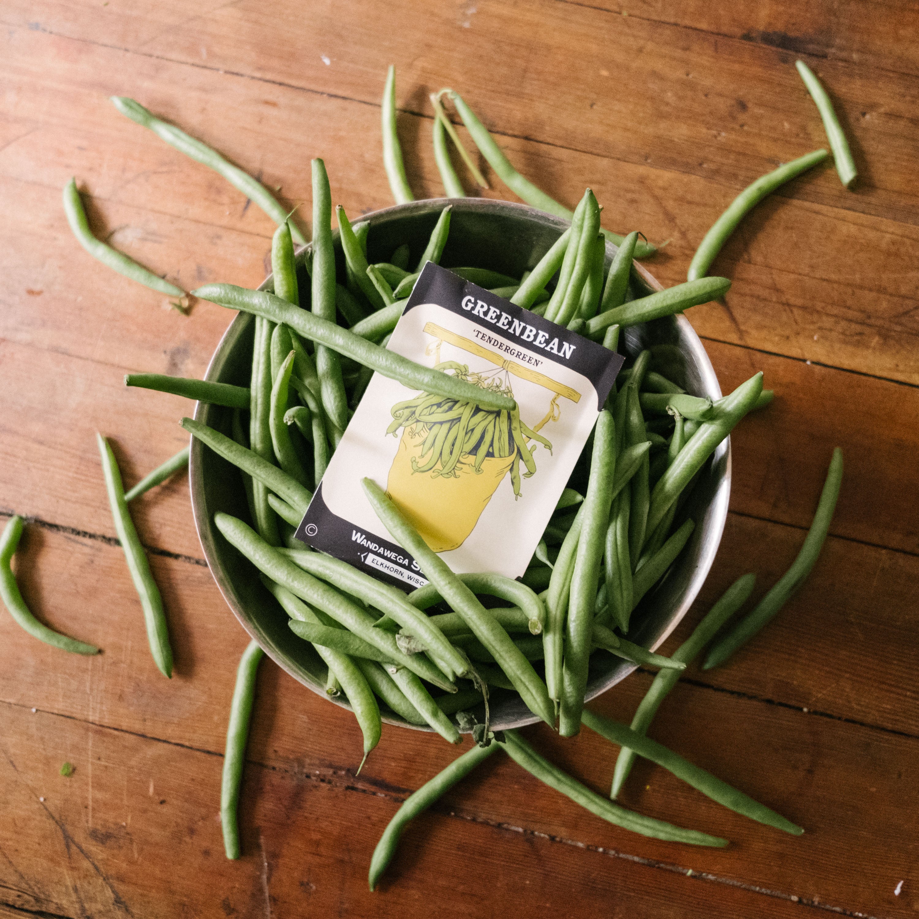 Wandawega Seed Co. Garden Kit