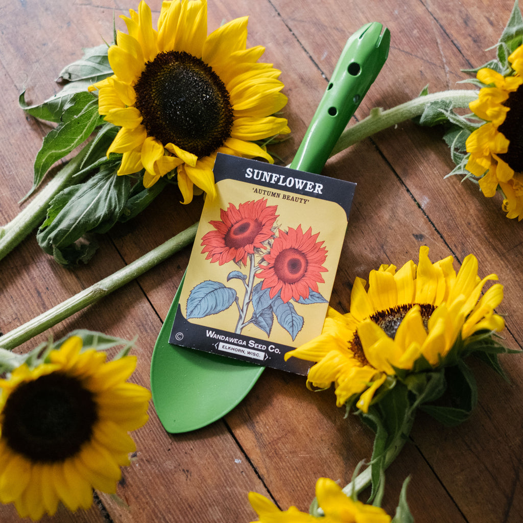 Wandawega Seed Co. Garden Kit