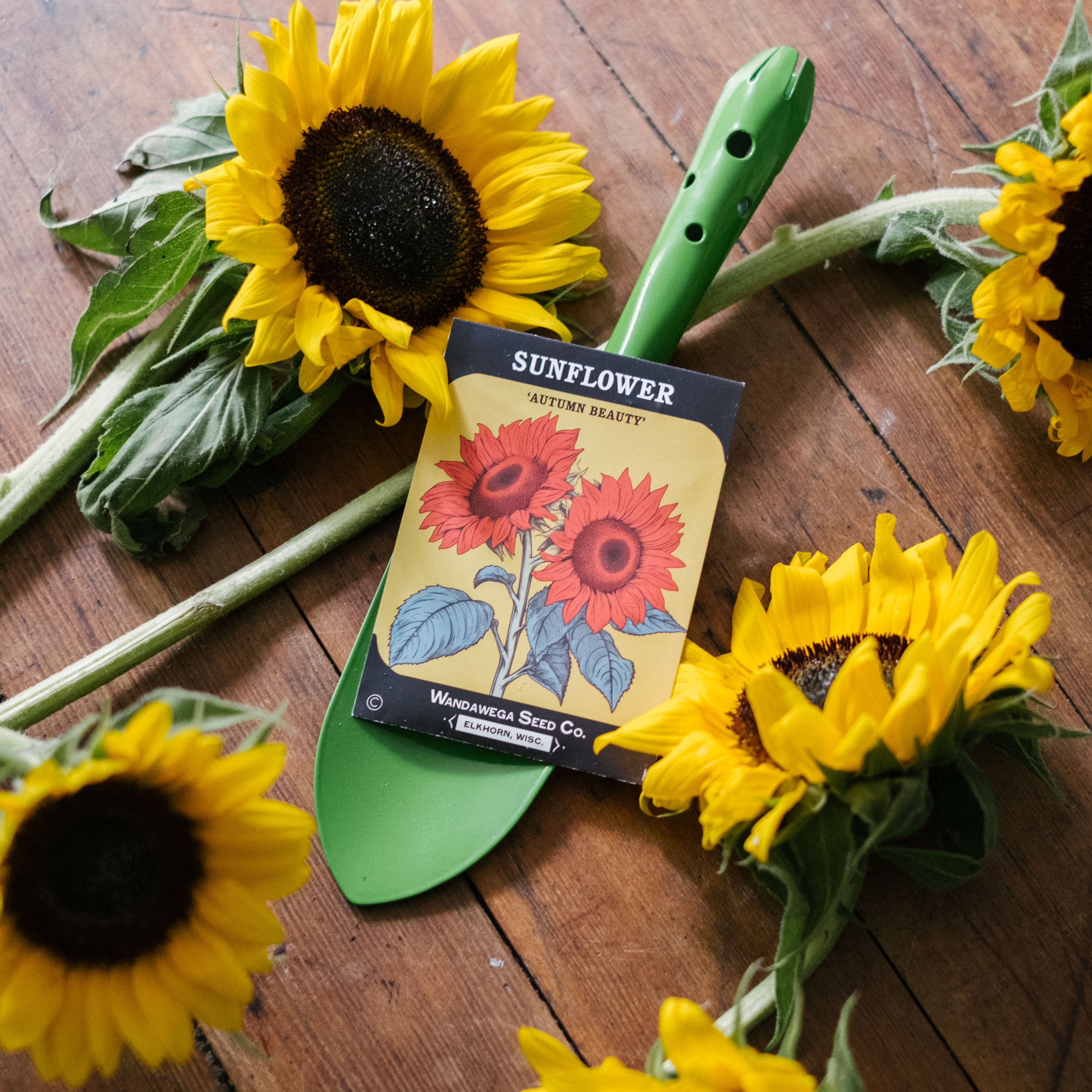 Wandawega Seed Co. Garden Kit