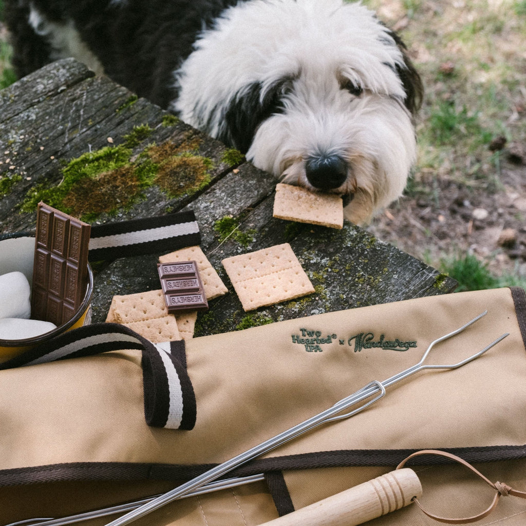 Wandawega x Two Hearted IPA: "Campfire Set"