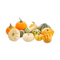 Assorted Gourds