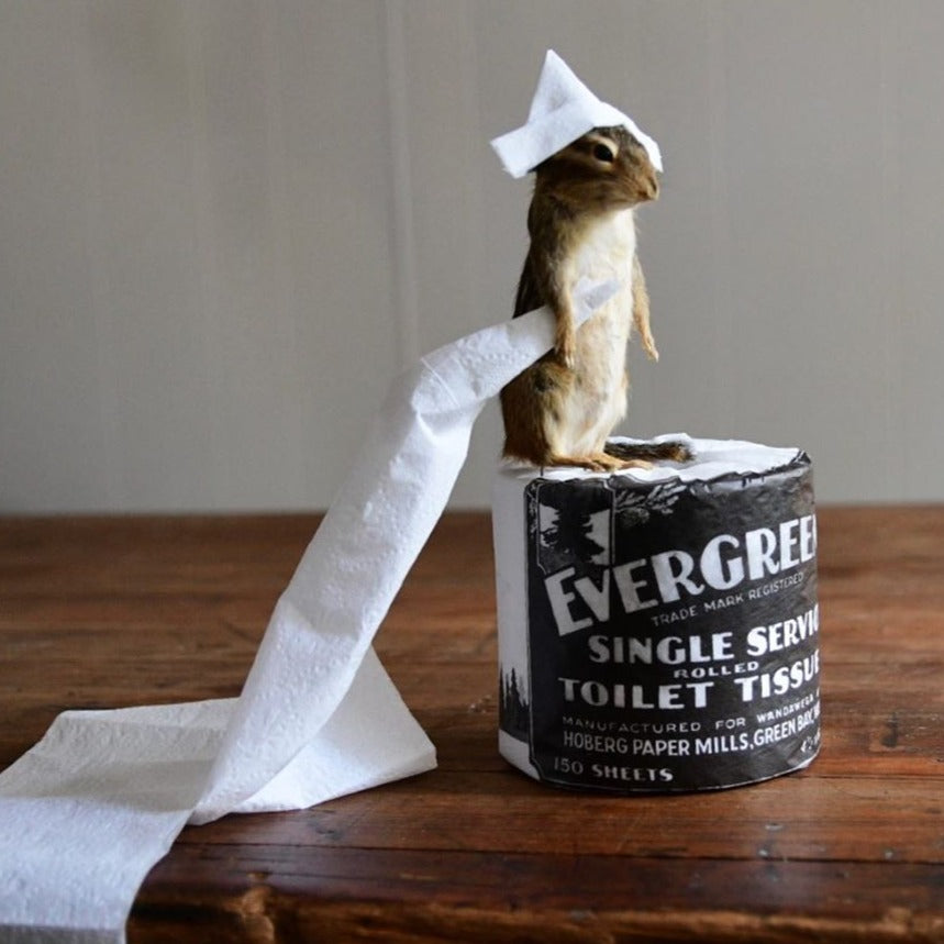 Camp Single Service Rolled Toilet Tissue