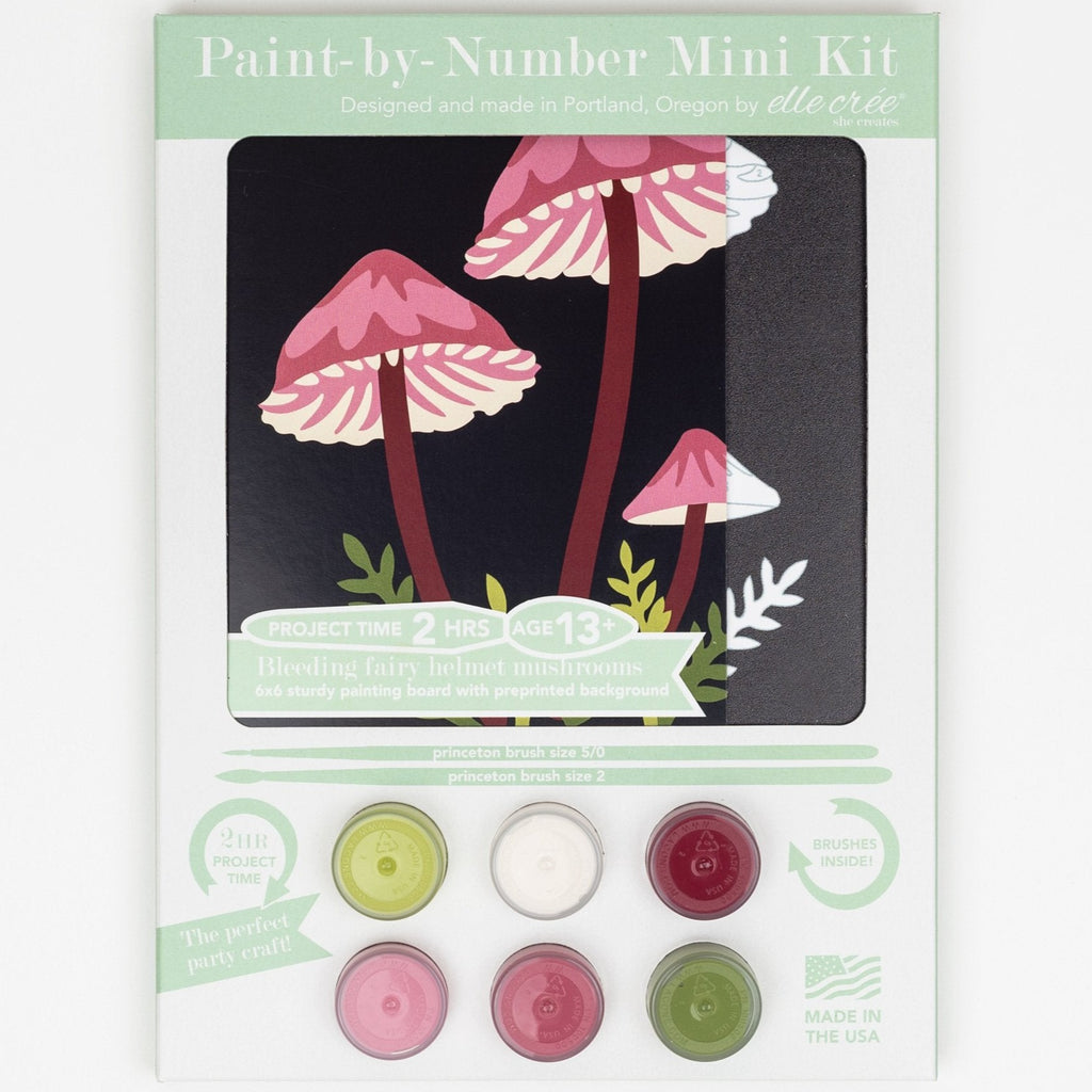 Paint by Numbers Kit