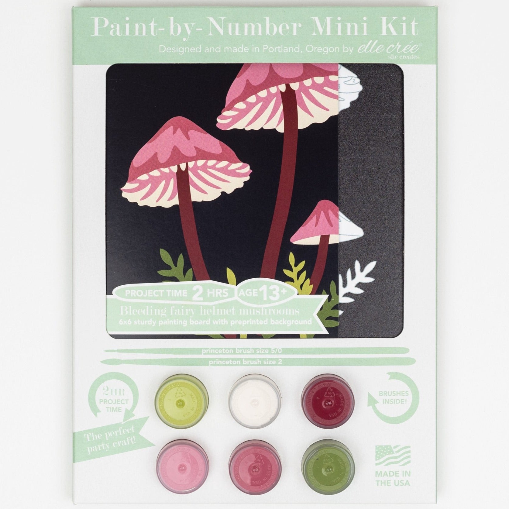 Paint by Numbers Kit