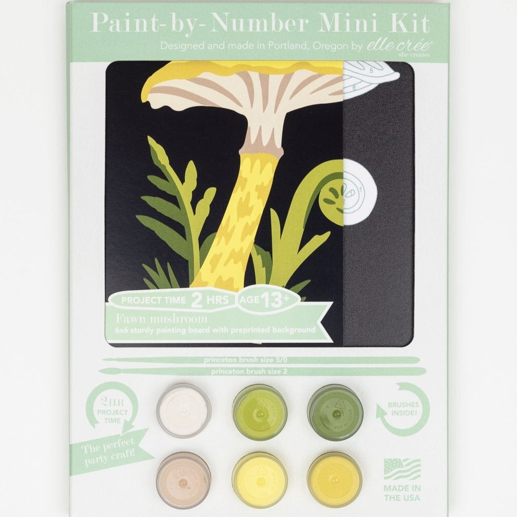 Paint by Numbers Kit