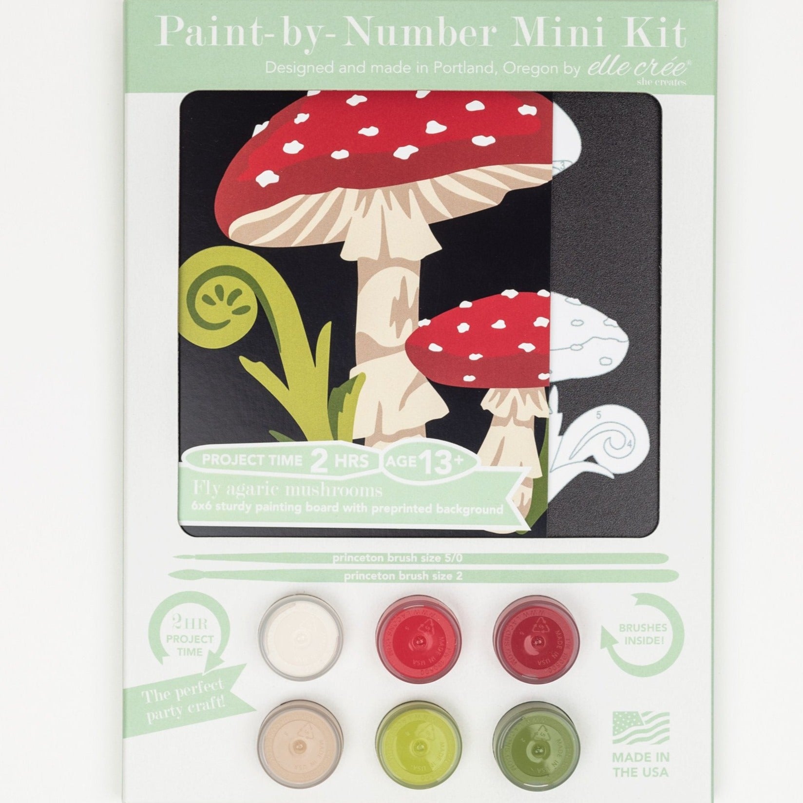 Paint by Numbers Kit – Krush