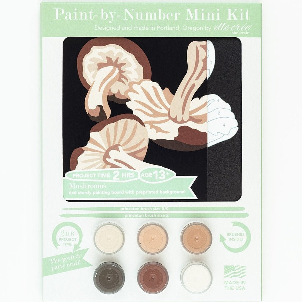 Paint by Numbers Kit
