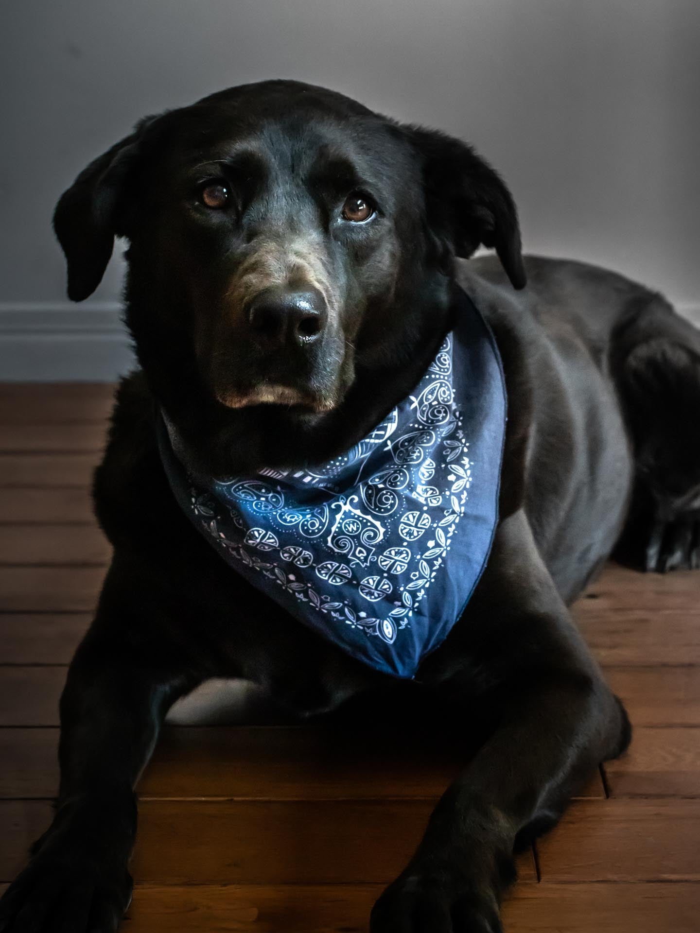 Wandawega Handkerchief