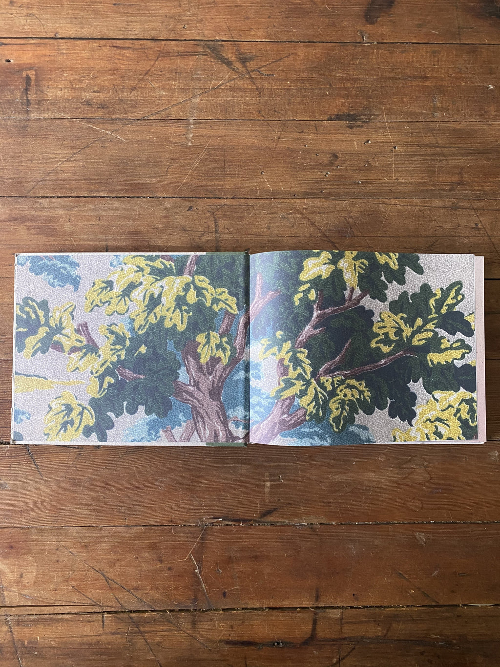 A Very Modest Cottage