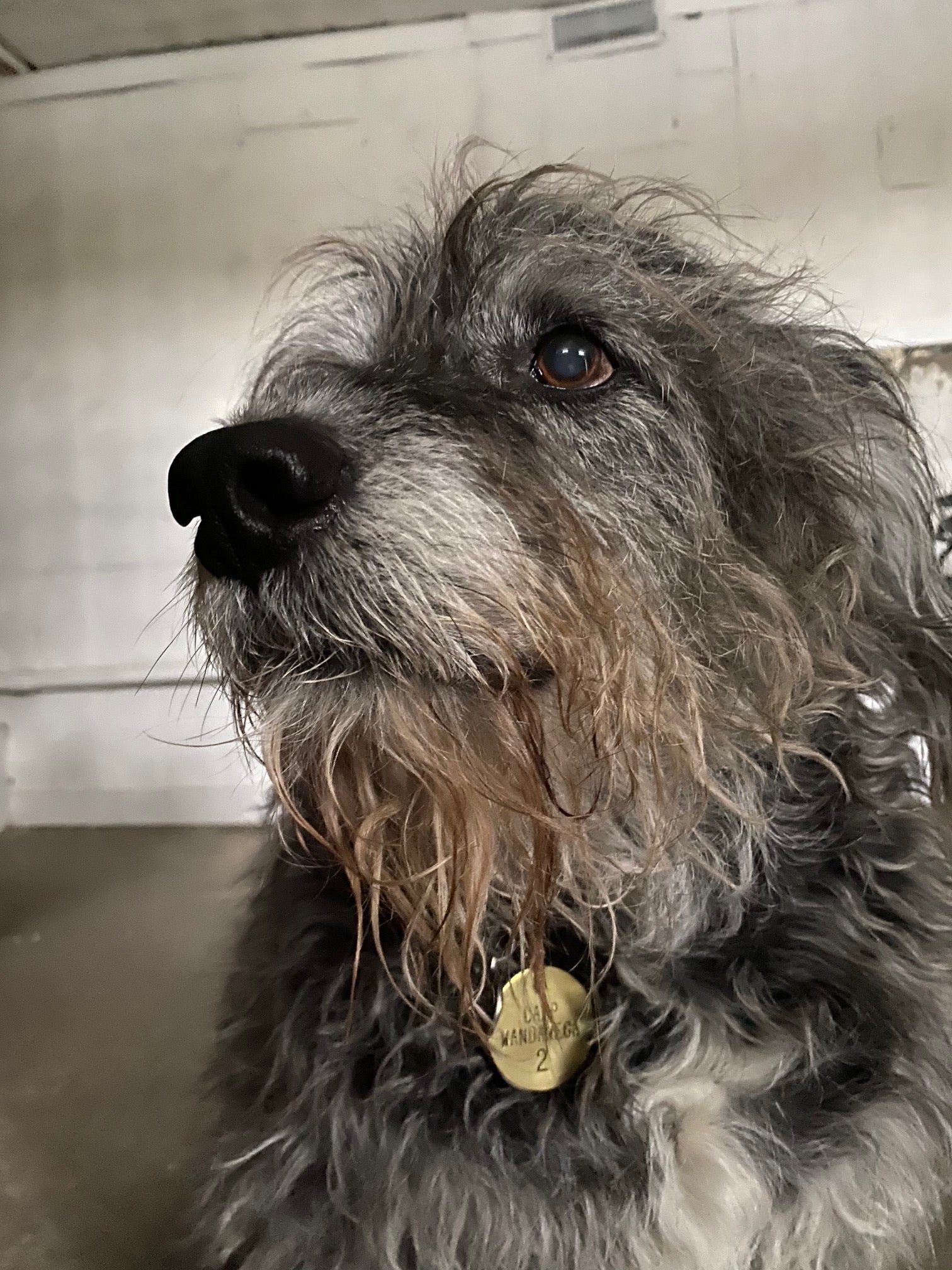 Keychain Set - Stamped Brass Valve Tag