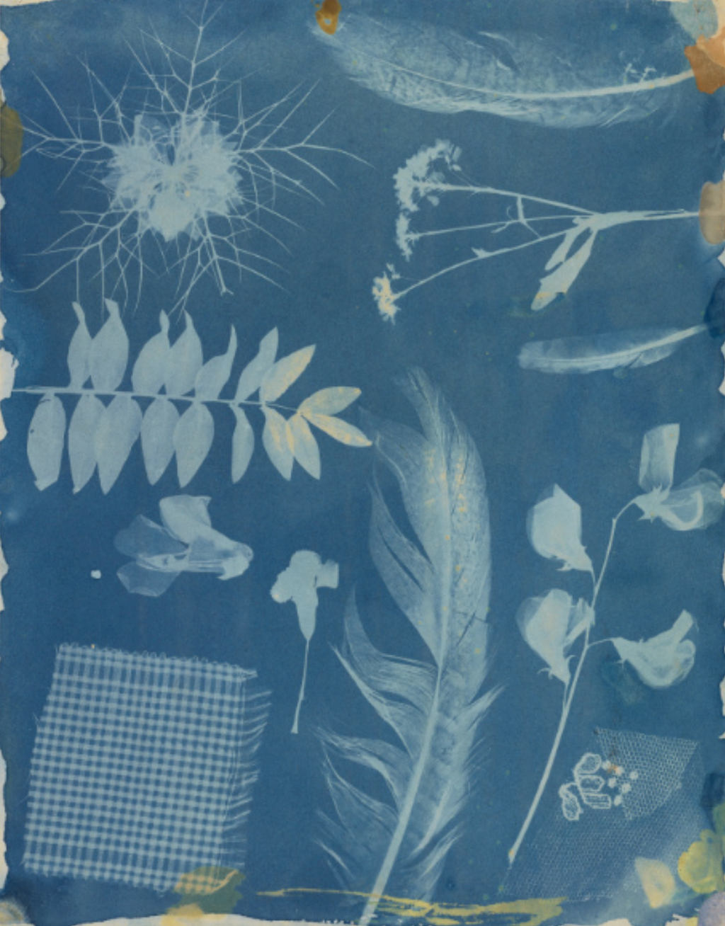 Nature Print Paper