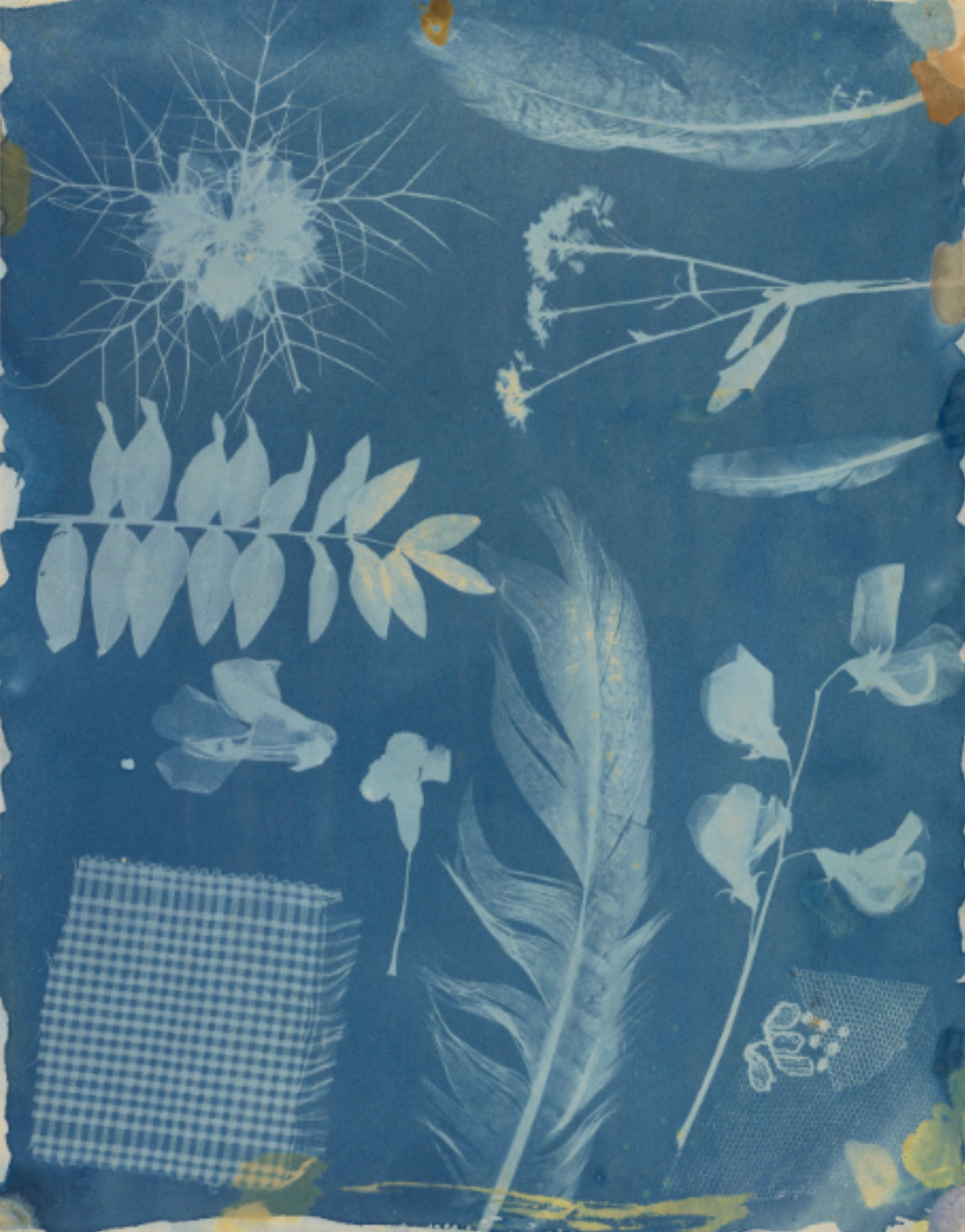 Nature Print Paper