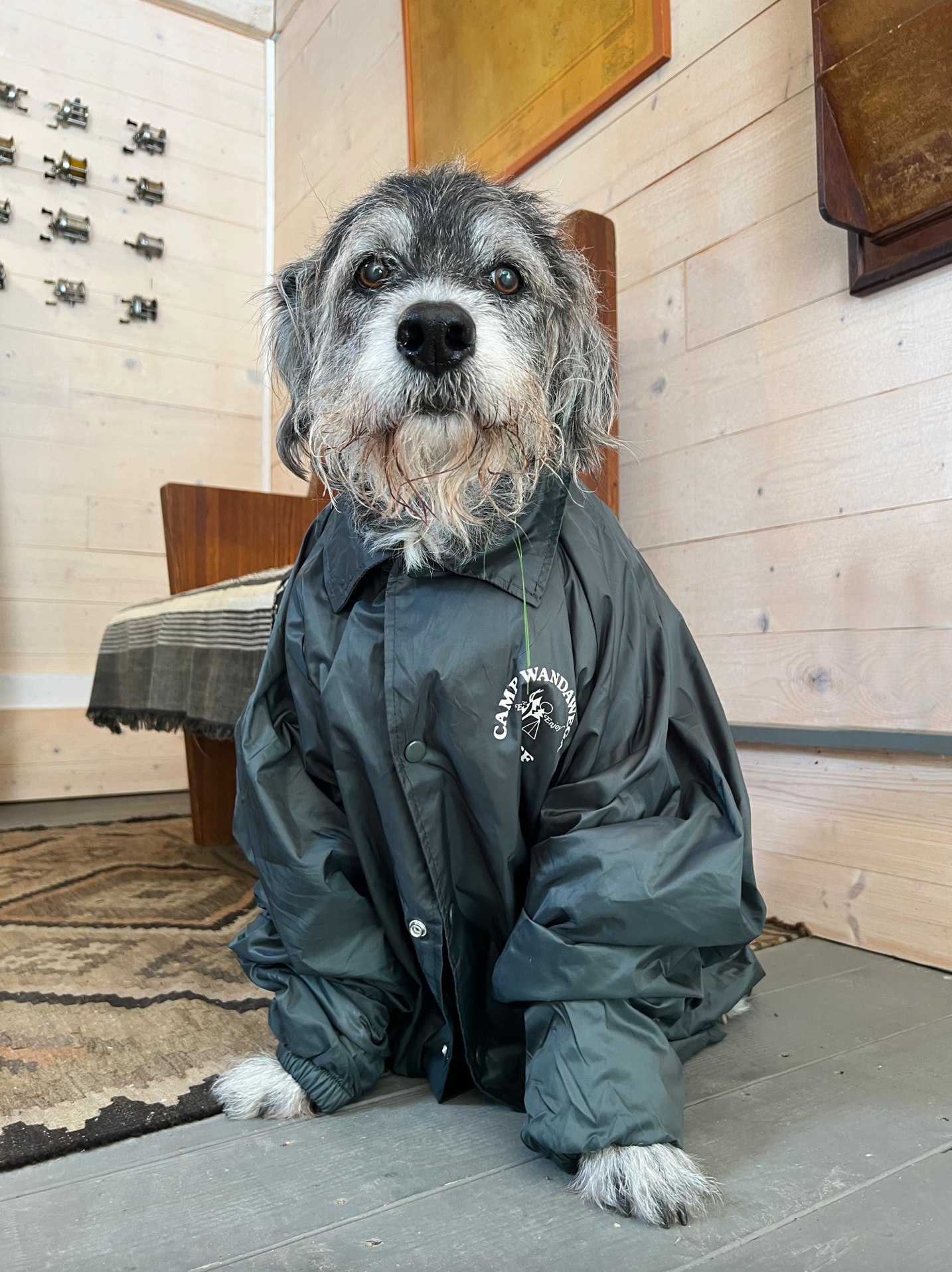 Camp Staff Jacket