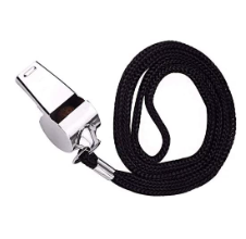 Whistle