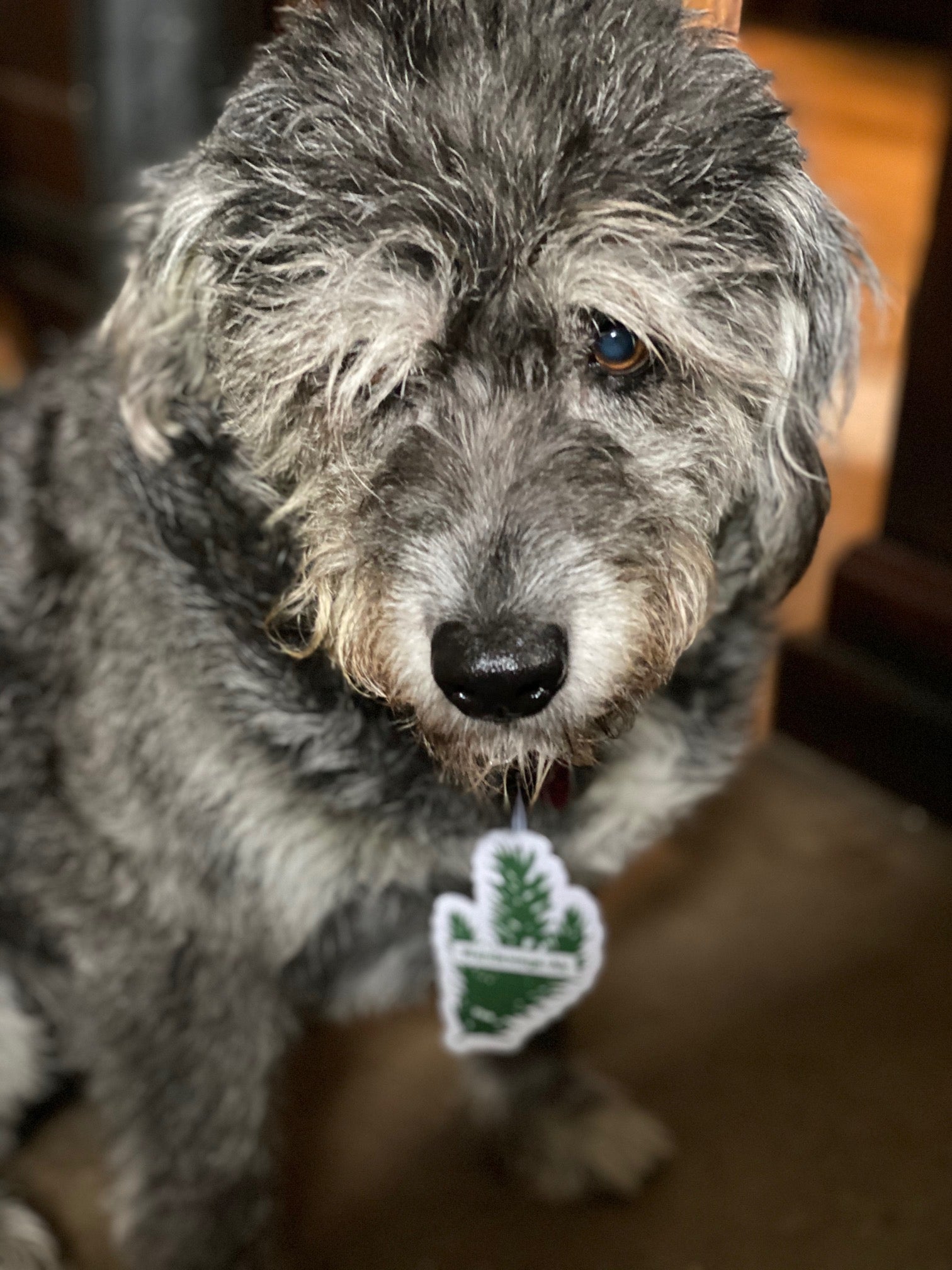 Wandawega Air (freshener)