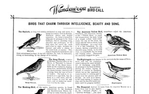 Wandawega Bird Call