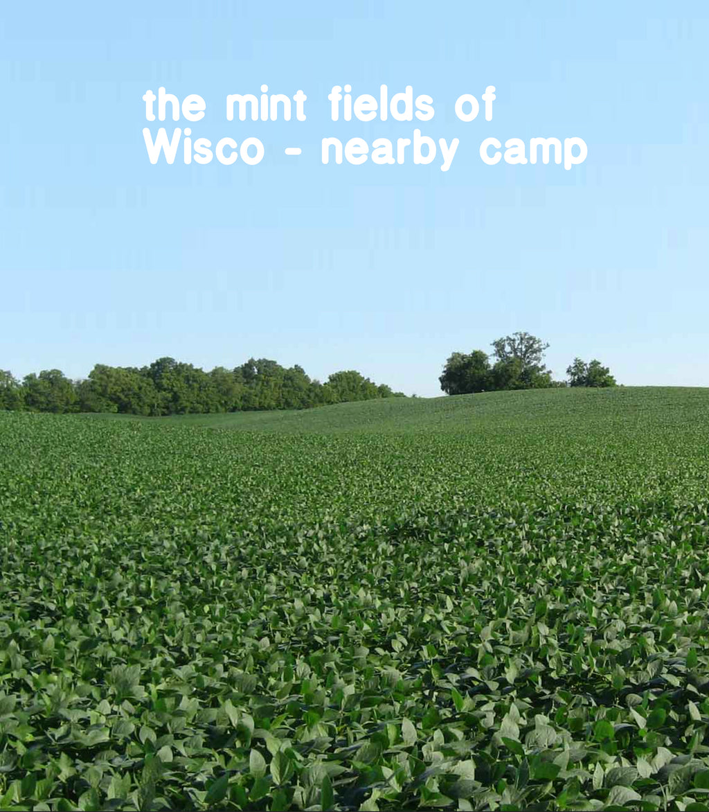 Wisconsin Mint Lip Balm