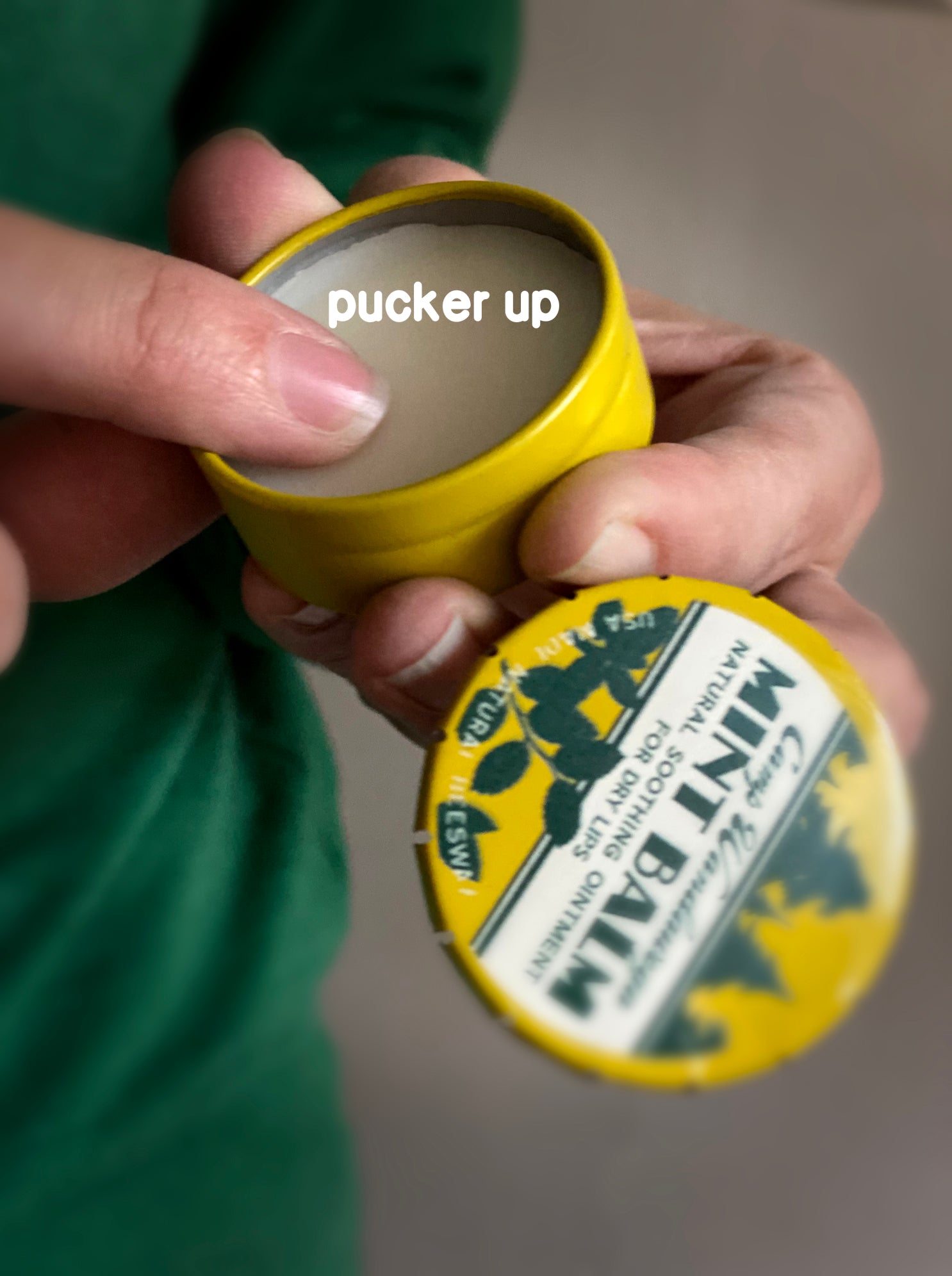 Wisconsin Mint Lip Balm