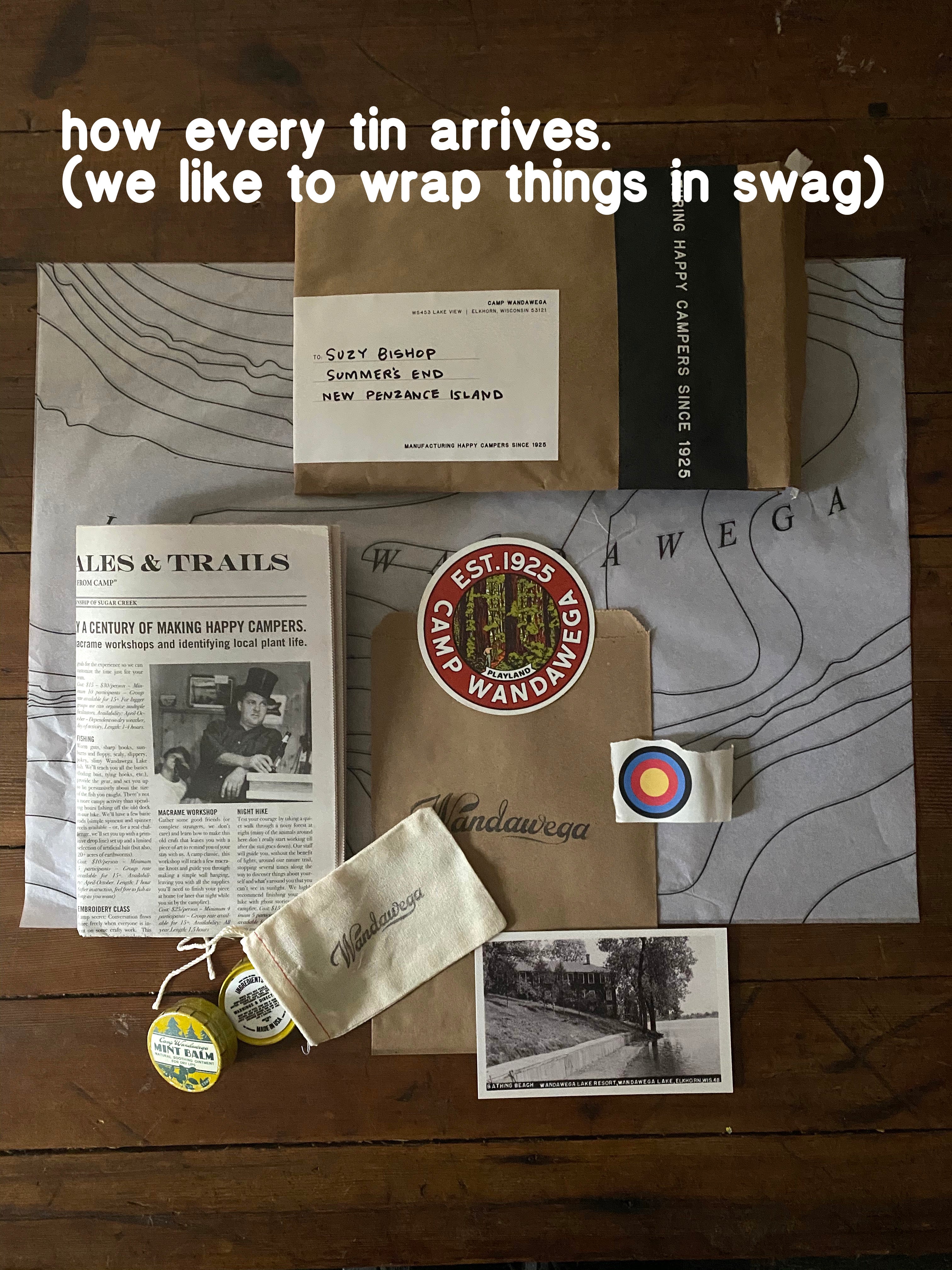 Wisconsin Mint Lip Balm